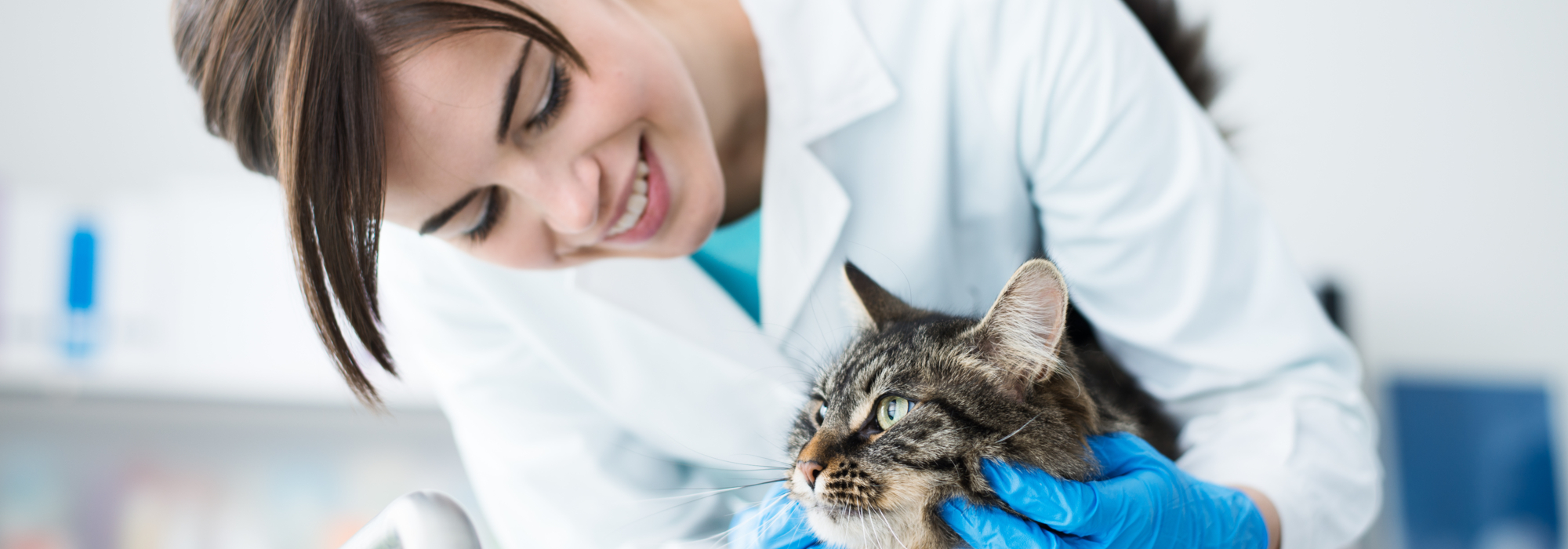 CLINIQUE VETERINAIRE DES BORDS DE MARNE