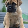By Helena Hybnerova* Legendary Hills (Own work) [CC BY-SA 3.0 (http://creativecommons.org/licenses/by-sa/3.0)], via Wikimedia Commons