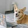 Photo de Nataliya Vaitkevich provenant de Pexels