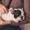 CC0 Public Domain via Pexels